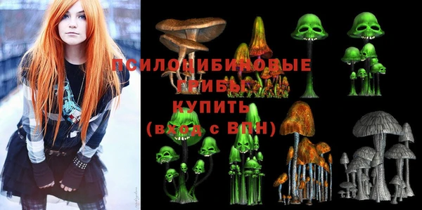 хмурый Михайлов