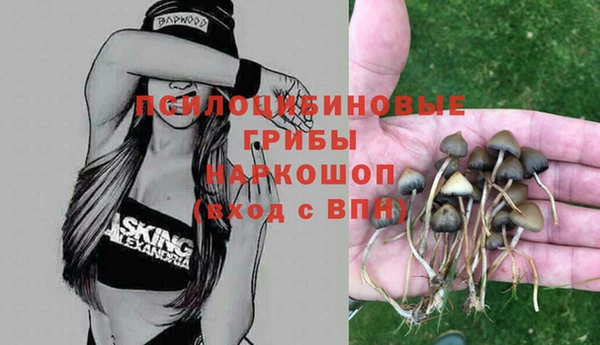 хмурый Михайлов