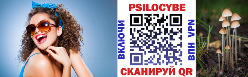 Псилоцибиновые грибы Psilocybine cubensis  Обнинск 