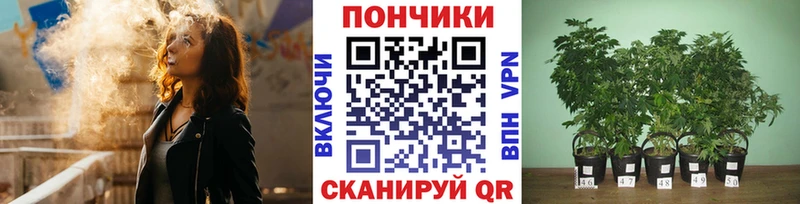 МЕГА вход  Обнинск  МАРИХУАНА Bruce Banner 